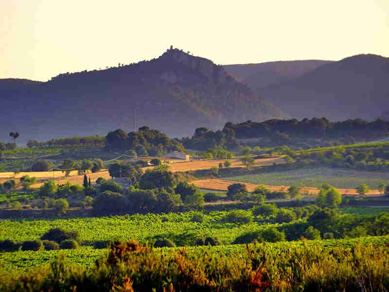 Activities in the Penedés: the wine region of Sitges